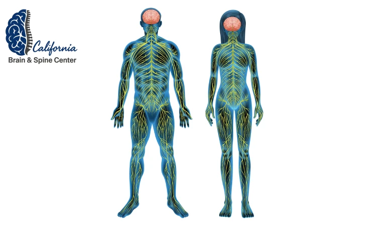 Why Choose Our 100 % Non-Surgical Approach?