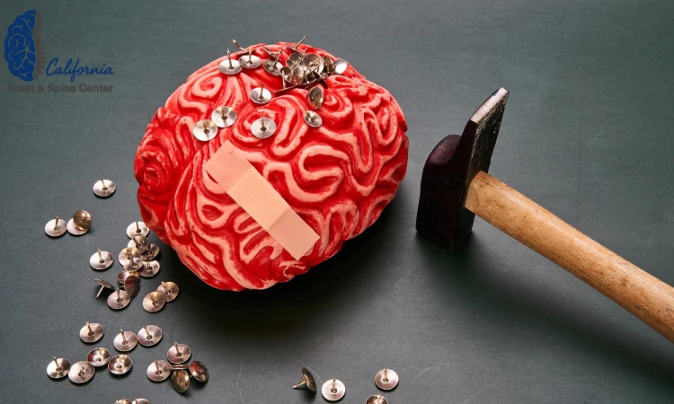 The Brain After Injury: Why Hope Is Real