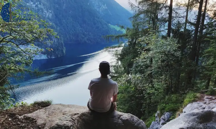 Stress‑Proof Your Synapses with Canyon Calm